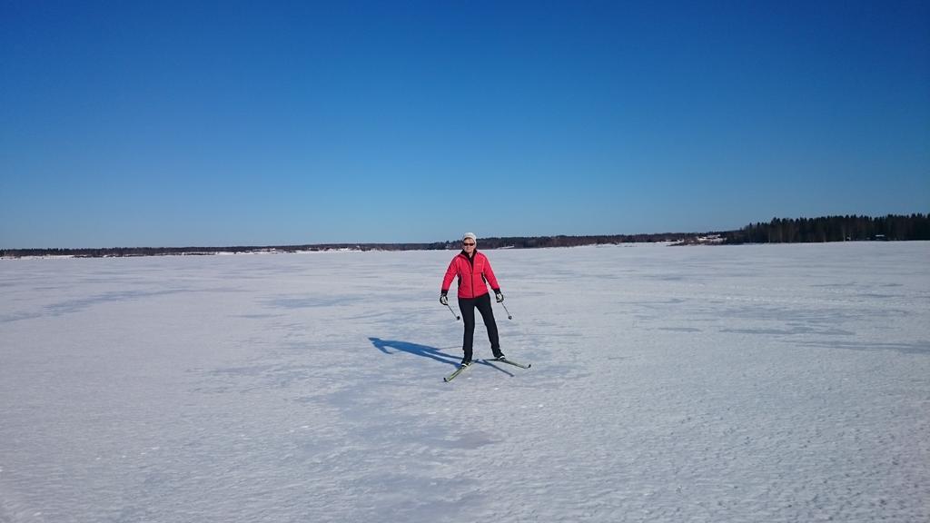 فيلا Nivagarden Korpikylä المظهر الخارجي الصورة