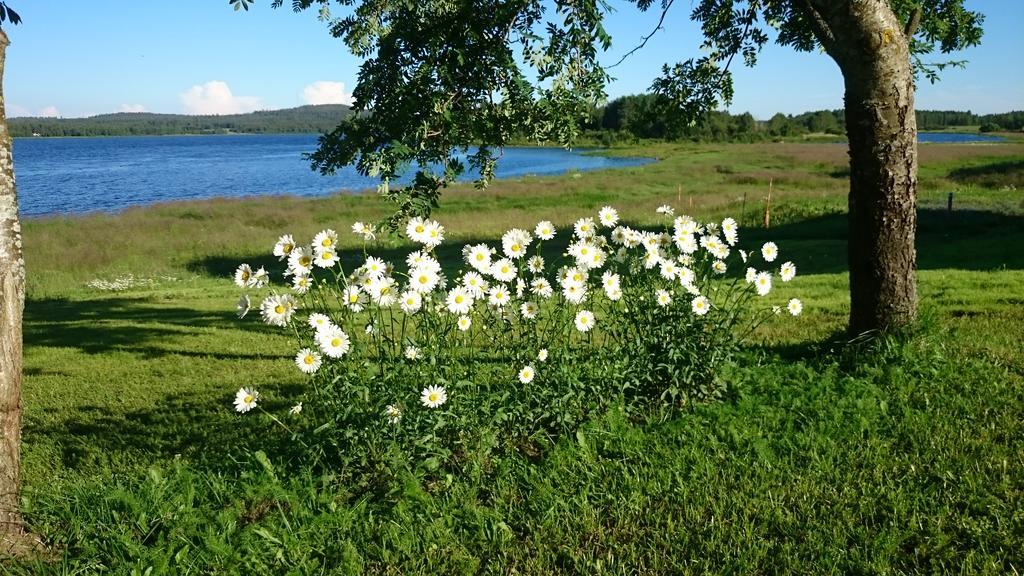 فيلا Nivagarden Korpikylä المظهر الخارجي الصورة