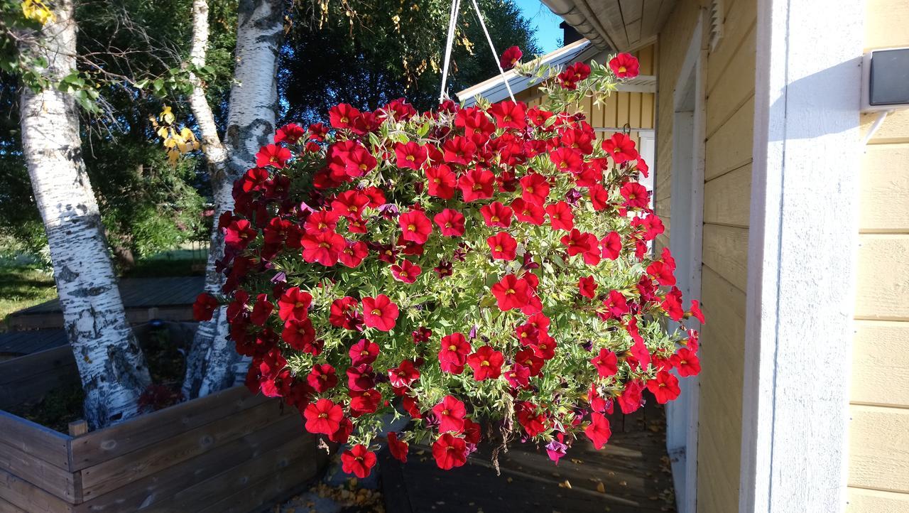 فيلا Nivagarden Korpikylä المظهر الخارجي الصورة