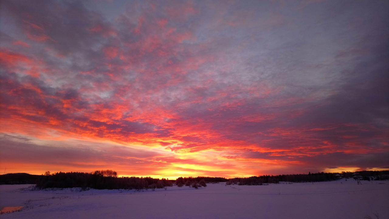 فيلا Nivagarden Korpikylä المظهر الخارجي الصورة