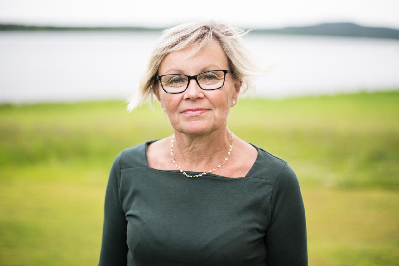 فيلا Nivagarden Korpikylä المظهر الخارجي الصورة